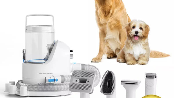 Neakasa P2 Pro Review — Is It Worth It for Indian Dog Owners?