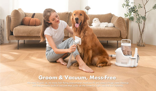Dog Shedding Season in India — How the Neakasa P2 Pro Handles It All