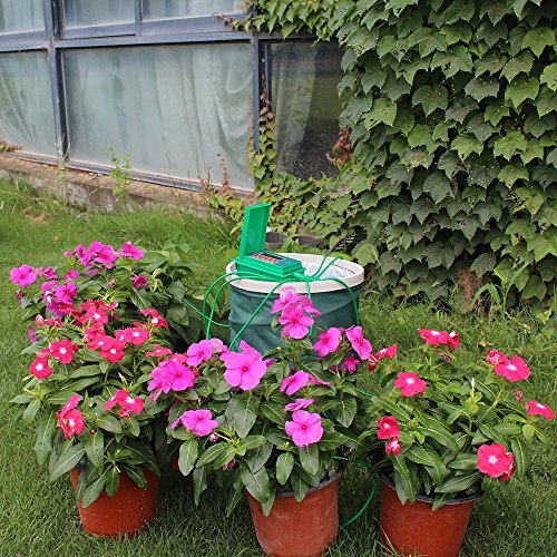 Common irrigation mistakes Indian gardeners make
