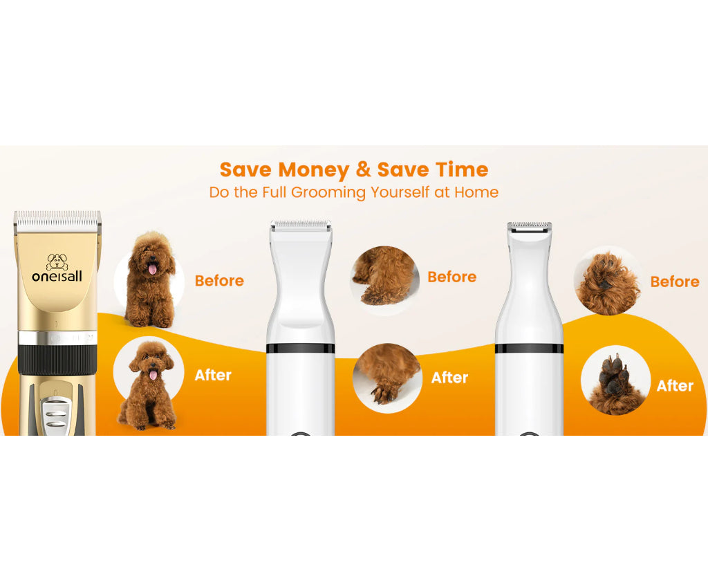 How to Trim Your Dog's Paws and Face at Home — A Complete Guide